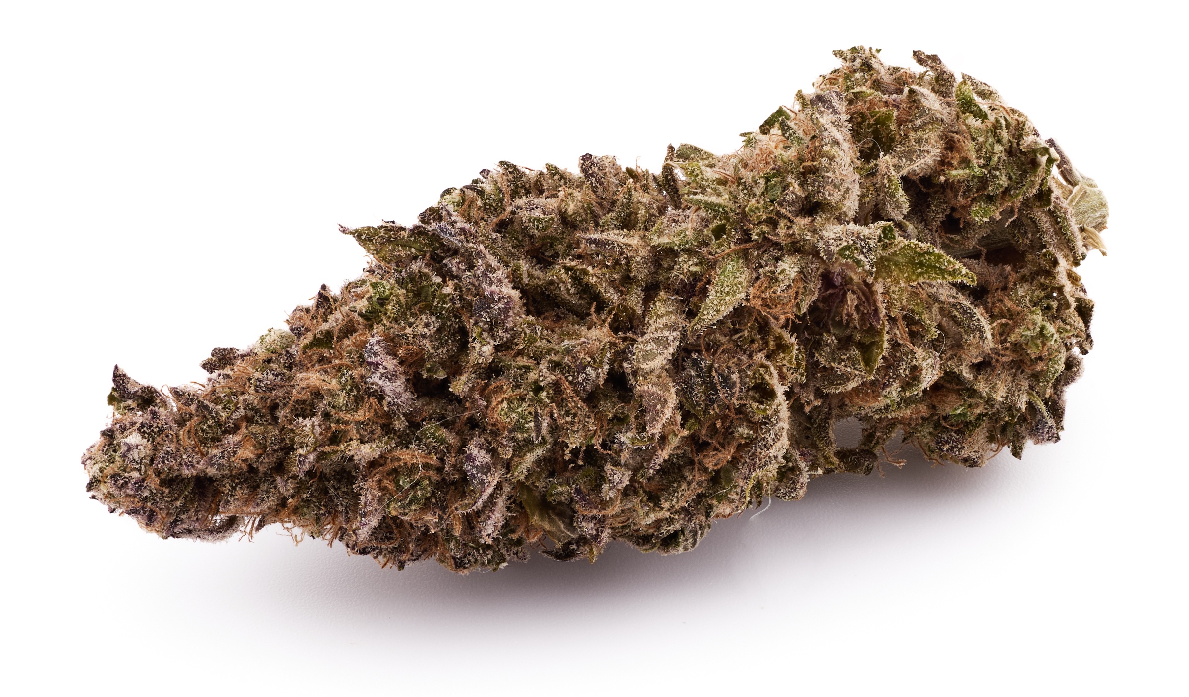 Blueberry Muffin