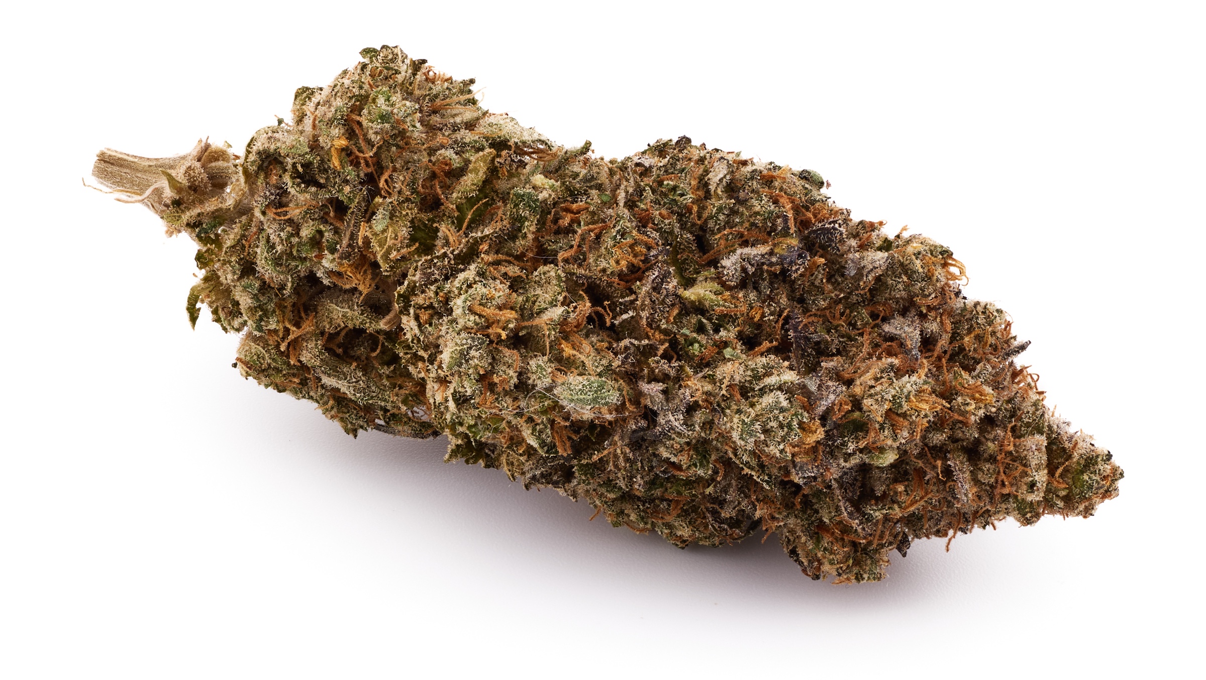 Strawberry Cola Sherbet F1 Fast Version
